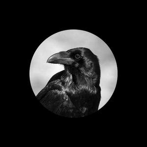 高清无码裸阴护士
