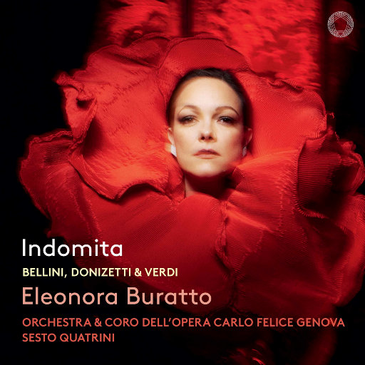 高清无码裸阴护士
